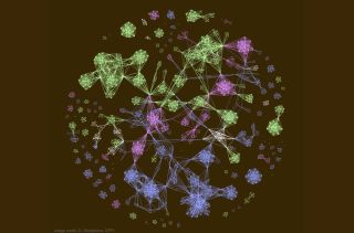 T-Shaped Interdisciplinarity: A Model for Applied Research?