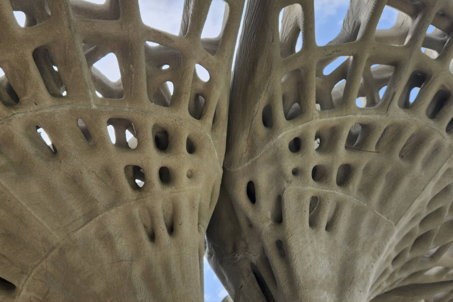 The Marinaressa Coral Tree is a prototype filigree structure created by the University of Stuttgart. https://bit.ly/40thfPO  Photo: Chrisna du Plessis